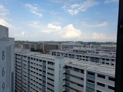 Blk 869A Tampines Greenwood (Tampines), HDB 3 Rooms #523758331